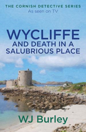 Cover of the book Wycliffe and Death in a Salubrious Place by Maureen Lee