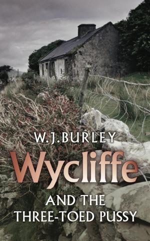 Cover of the book Wycliffe and the Three Toed Pussy by Jon Holmes