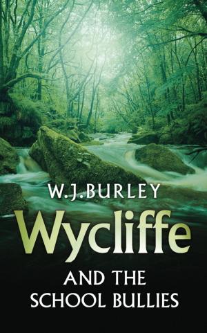 Book cover of Wycliffe and the School Bullies