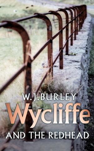 Cover of the book Wycliffe And The Redhead by Jay Amory