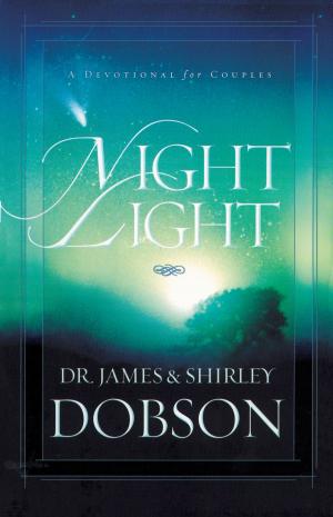 Cover of the book Night Light by John Orndorff