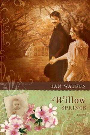 Cover of the book Willow Springs by Robert Petterson