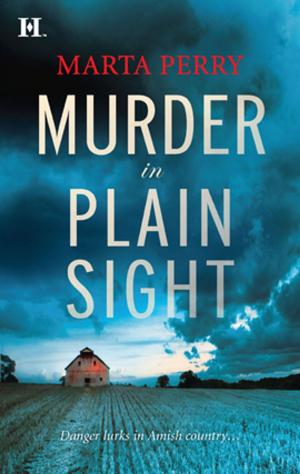 bigCover of the book Murder in Plain Sight by 