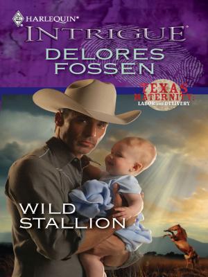 Cover of the book Wild Stallion by Chantelle Shaw