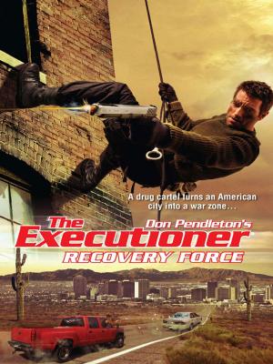 Cover of the book Recovery Force by Alex Archer