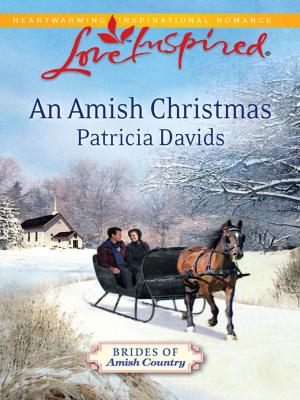 Book cover of An Amish Christmas