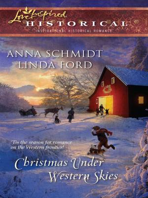 Book cover of Christmas Under Western Skies