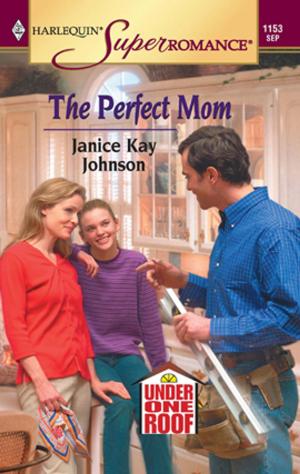 Cover of the book The Perfect Mom by Kimberly Van Meter