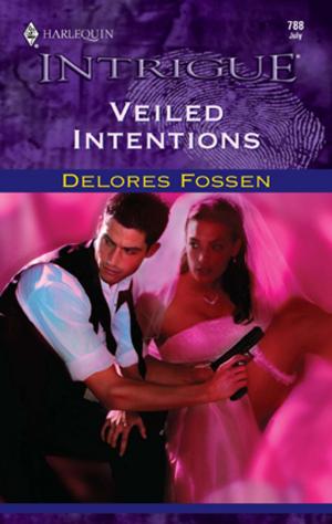Cover of the book Veiled Intentions by Megan Mitcham