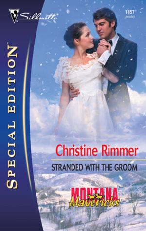 Cover of the book Stranded With the Groom by Diane Pershing