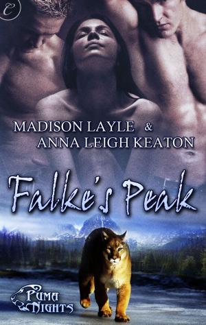 Cover of the book Falke's Peak by Sharon Calvin