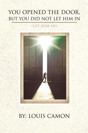 Cover of the book You Opened the Door, but You Did Not Let Him In by Lori Graves