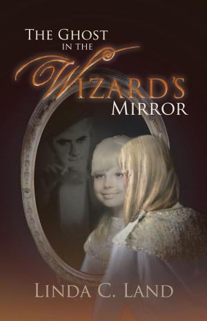 Cover of the book The Ghost in the Wizard’S Mirror by MaryAnn Miller