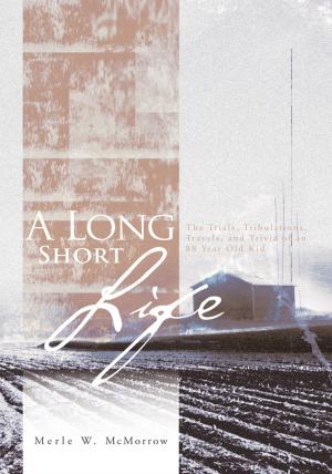 Cover of the book A Long Short Life by Mark A. Nechoda