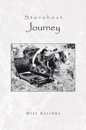 Cover of the book Stoneboat Journey by AJ Rolls