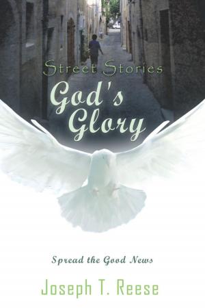 Cover of the book Street Stories God's Glory by Matt O'Grady