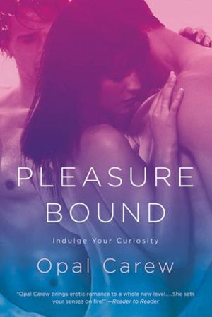 Book cover of Pleasure Bound