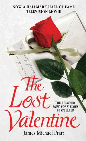 Cover of the book The Lost Valentine by Allen E. Salowe