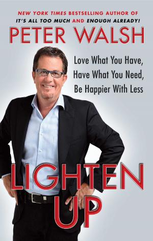 Cover of the book Lighten Up by Robert Wuthnow
