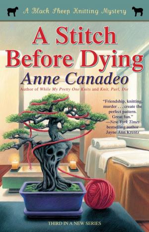 Cover of the book A Stitch Before Dying by Linda Carroll, David Rosner
