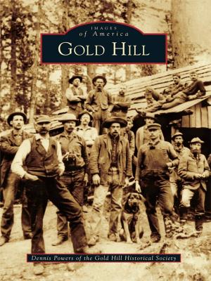 Book cover of Gold Hill