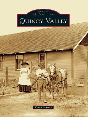 Cover of the book Quincy Valley by Danny Crossman