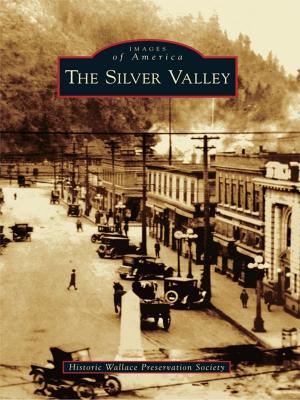 Cover of the book The Silver Valley by Alex Payne, Altoona Area Historical Society