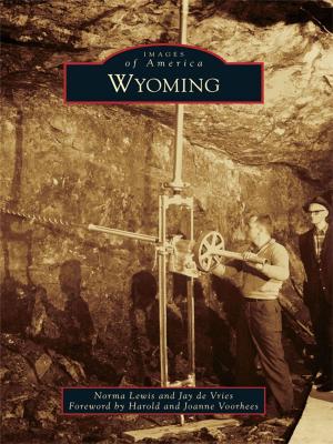 Cover of the book Wyoming by John Hairr