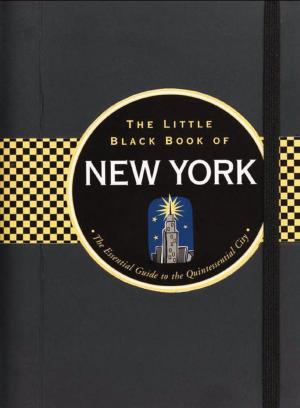Cover of the book The Little Black Book of New York 2011 by Evelyn Beilenson
