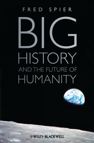 Cover of the book Big History and the Future of Humanity by 