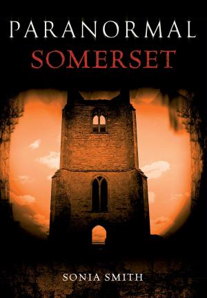 Cover of the book Paranormal Somerset by Ian Collard