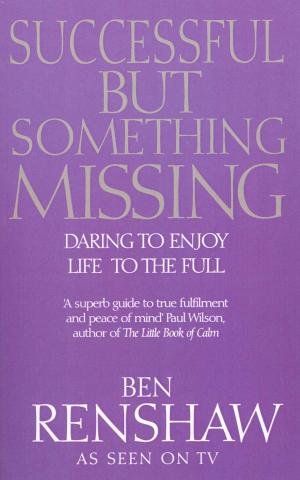 Cover of the book Successful But Something Missing by Susan Tinoff
