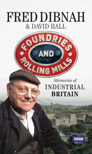 Cover of the book Foundries and Rolling Mills by Miranda MacPherson