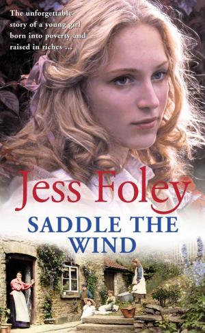 bigCover of the book Saddle The Wind by 
