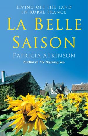 Cover of the book La Belle Saison by Marty Essen
