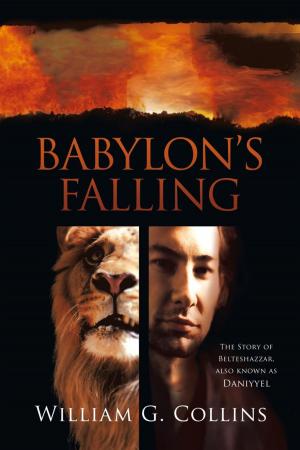 Cover of the book Babylon’S Falling by DeLinda N. Baker