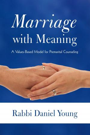 Book cover of Marriage with Meaning