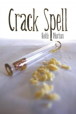 Cover of the book Crack Spell by Michael C. Bosco Jr., David B. Keith