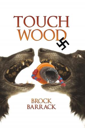 Cover of the book Touch Wood by Christian D. Rahaim