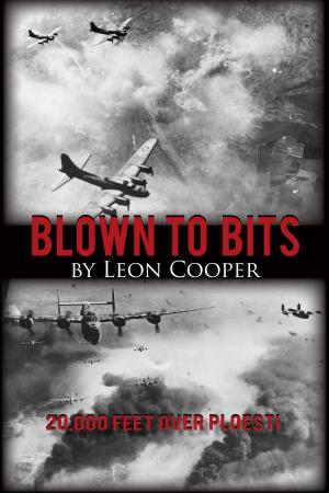 Cover of the book Blown to Bits by Shirley Heaton