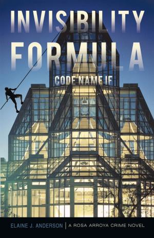 Cover of the book Invisibility Formula by Michael Connelly