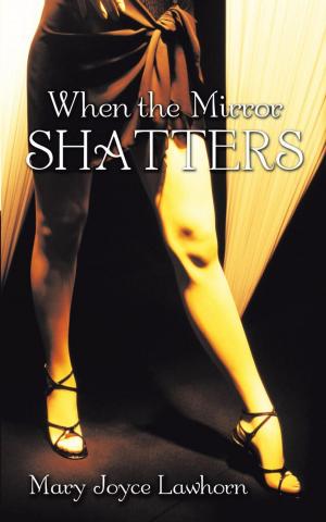 Cover of the book When the Mirror Shatters by John Smith