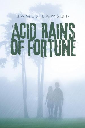 Cover of the book Acid Rains of Fortune by Albert E. McCormick Jr. PhD