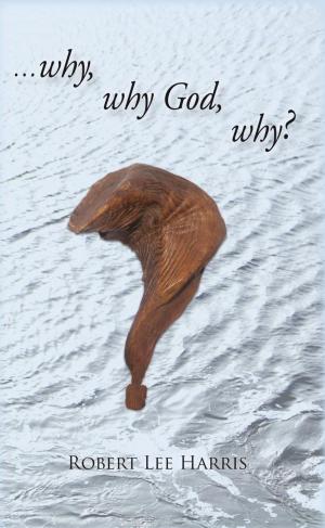 Book cover of Why Why God Why?
