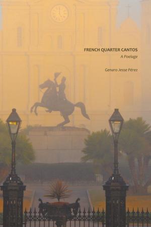 Cover of the book French Quarter Cantos by Lucia Chiavola Birnbaum