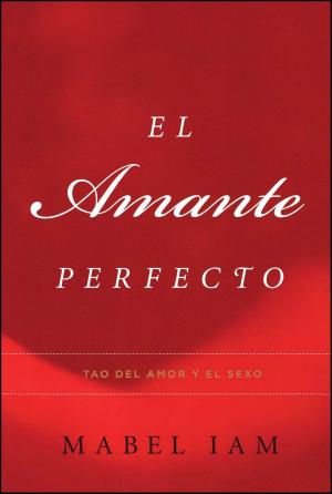 bigCover of the book El Amante Perfecto by 