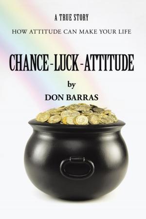 Cover of the book Chance—Luck—Attitude by Ali Johnson