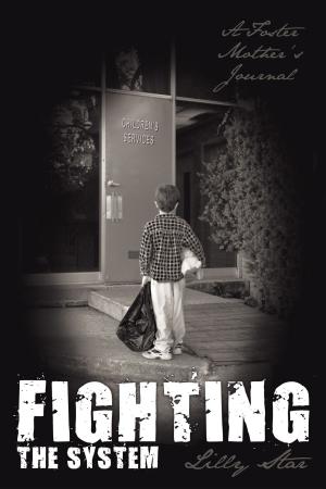 Cover of the book Fighting the System by Robert H. Nieder