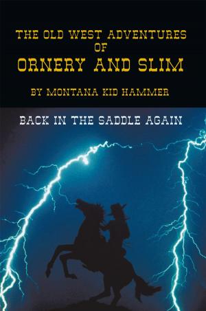 Cover of the book The Old West Adventures of Ornery and Slim by Patricia Sunday, Jason “Raven” Wantland