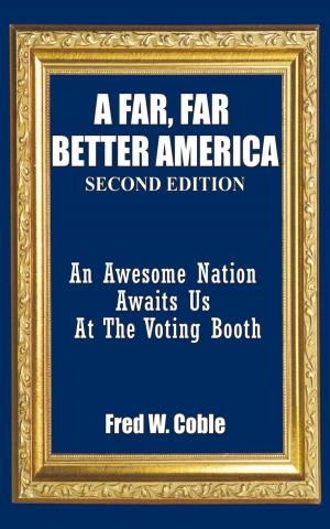 Cover of the book A Far, Far Better America by Setsuko Arakaki-Barlow